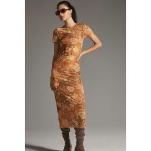 Anthropologie MISA Vanessa Mesh Dress